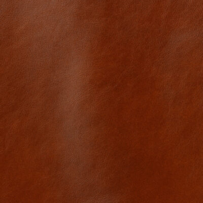 Icon-805_Chestnut