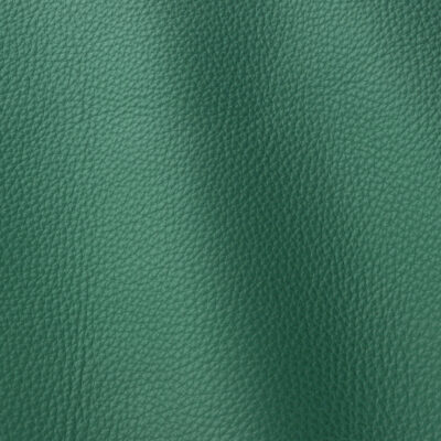 SDN-261_CedarGreen